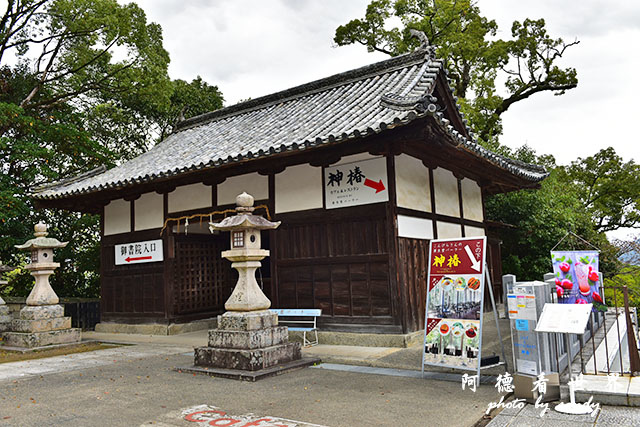琴平-高松D810 169.JPG