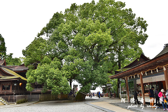 琴平-高松D810 206.JPG 琴平-高松D810 206.JPG