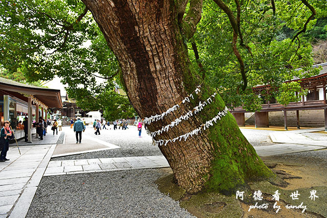 琴平-高松D810 202.JPG 琴平-高松D810 202.JPG