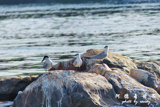 aswan2FZ200 (10).JPG aswan2FZ200 (10).JPG