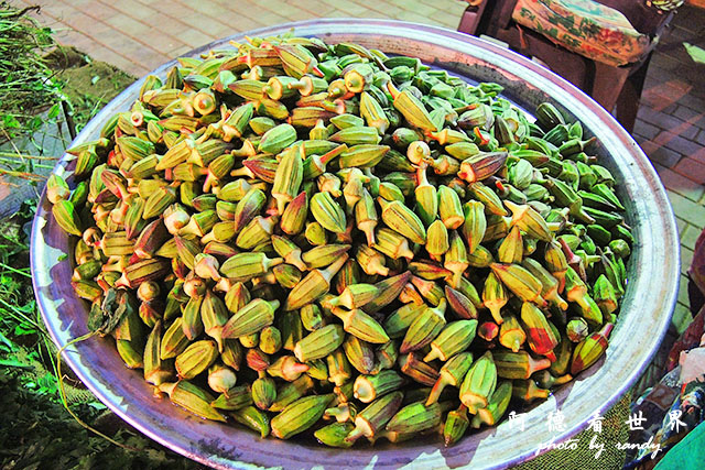 blueshadow2P7700 011.JPG blueshadow2P7700 011.JPG