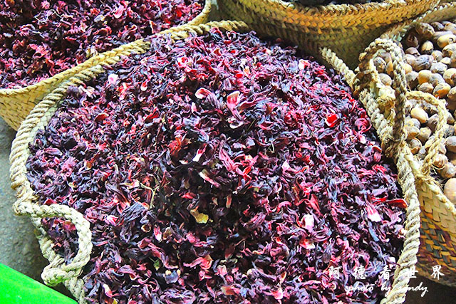 blueshadow2P7700 016.JPG blueshadow2P7700 016.JPG