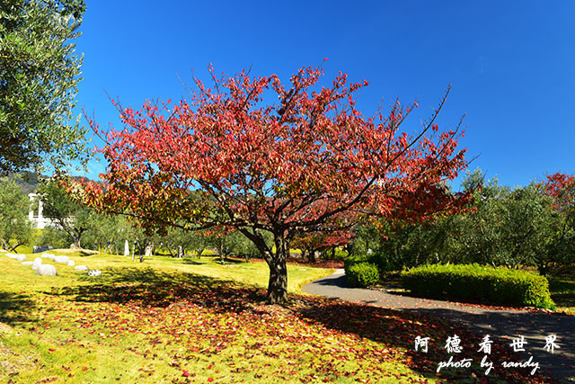 小豆島D810 083.JPG