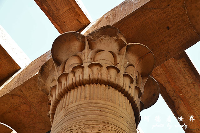 blueshadow2D7000 075.JPG blueshadow2D7000 075.JPG