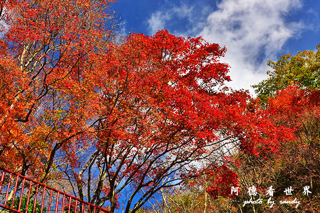 小豆島D810 136.JPG 小豆島D810 136.JPG