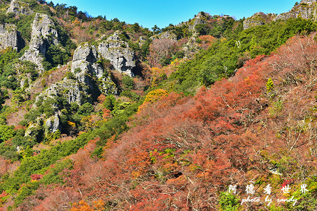 小豆島D810 155.JPG 小豆島D810 155.JPG
