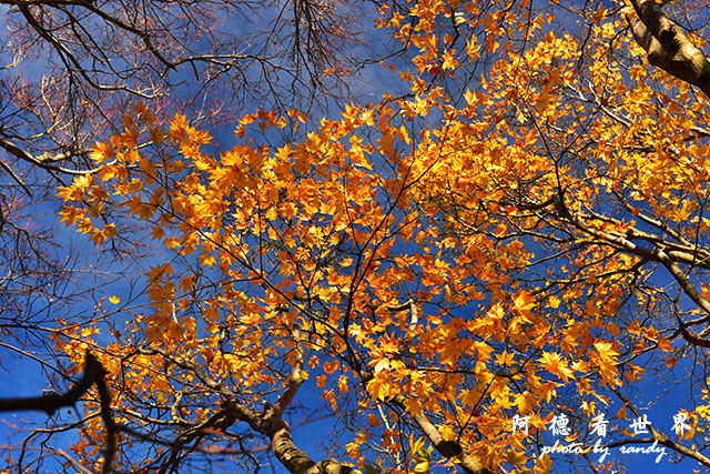 小豆島D810 167.JPG 小豆島D810 167.JPG