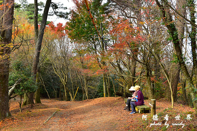 小豆島D810 196.JPG 小豆島D810 196.JPG