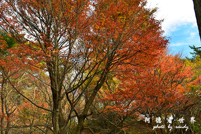 小豆島D810 197.JPG 小豆島D810 197.JPG