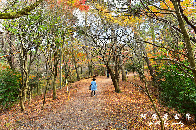 小豆島D810 202.JPG 小豆島D810 202.JPG