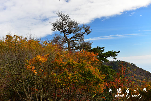 小豆島D810 222.JPG 小豆島D810 222.JPG