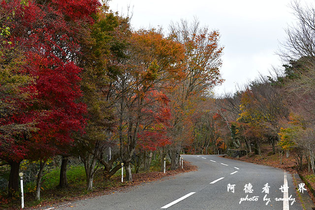 小豆島D810 289.JPG 小豆島D810 289.JPG