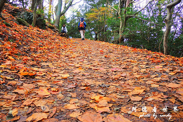 小豆島P7700 201.JPG 小豆島P7700 201.JPG