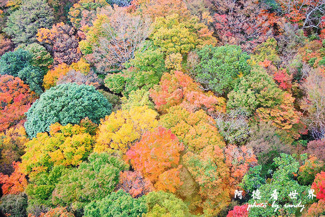 小豆島P7700 223.JPG 小豆島P7700 223.JPG