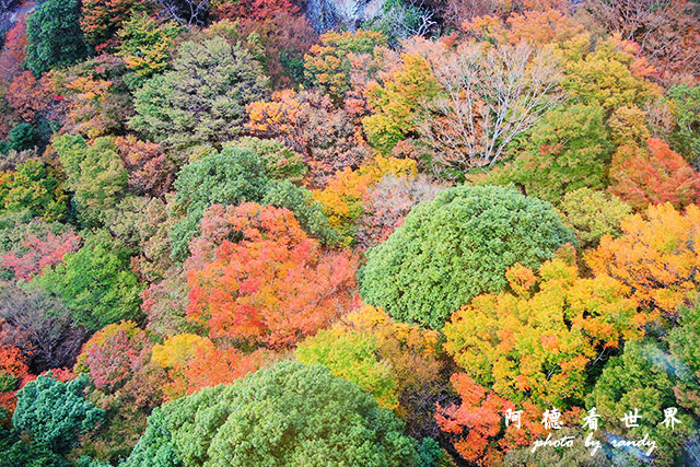 小豆島P7700 225.JPG 小豆島P7700 225.JPG