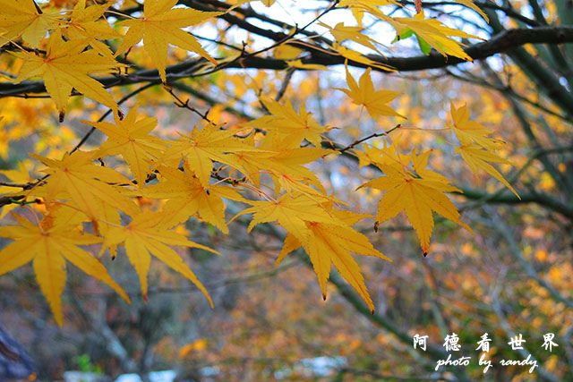 小豆島P7700 248.JPG 小豆島P7700 248.JPG