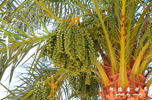 Luxor1D7000 091.JPG Luxor1D7000 091.JPG