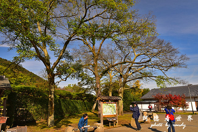 栗林公園-德島D810 001.JPG 栗林公園-德島D810 001.JPG