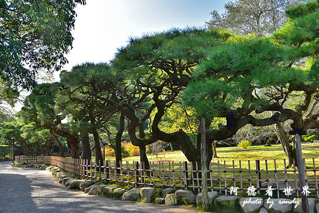 栗林公園-德島D810 013.JPG