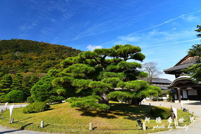 栗林公園-德島D810 017.JPG 栗林公園-德島D810 017.JPG
