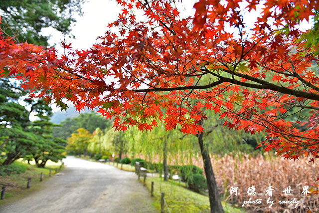 栗林公園-德島D810 074.JPG