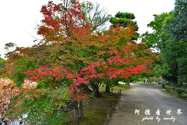 栗林公園-德島D810 076.JPG