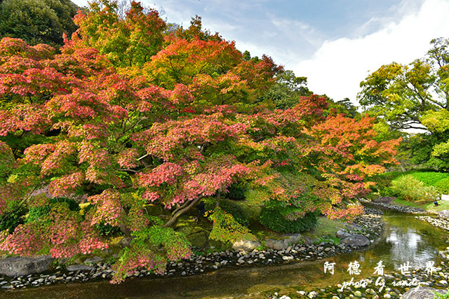 栗林公園-德島D810 082.JPG