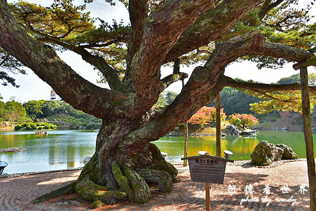 栗林公園-德島D810 121.JPG 栗林公園-德島D810 121.JPG