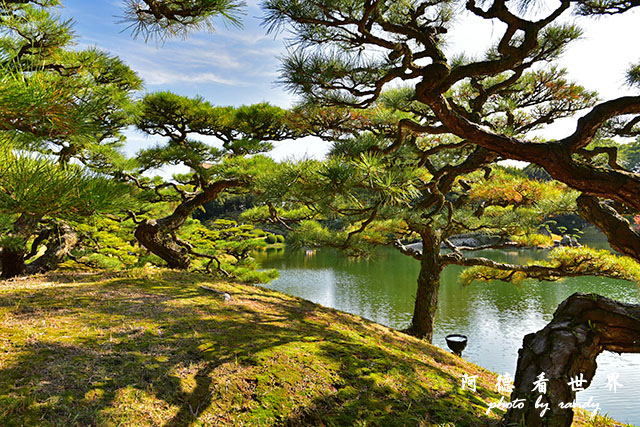 栗林公園-德島D810 126.JPG 栗林公園-德島D810 126.JPG