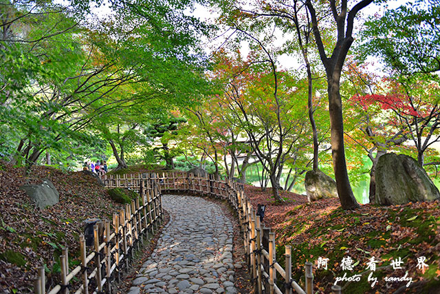 栗林公園-德島D810 175.JPG 栗林公園-德島D810 175.JPG