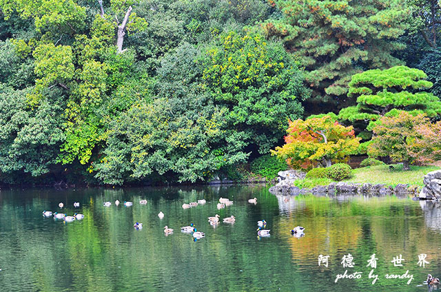 栗林公園-德島D7000 003.JPG 栗林公園-德島D7000 003.JPG