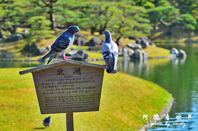 栗林公園-德島D7000 027.JPG 栗林公園-德島D7000 027.JPG