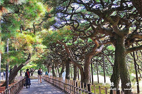 栗林公園-德島P7700 060.JPG