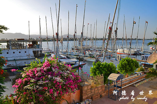 luxor4-alexandria1D7000 116.JPG luxor4-alexandria1D7000 116.JPG