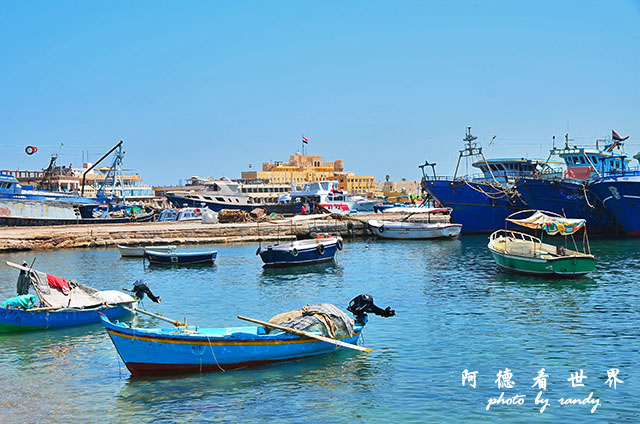 alexandria2D7000 014.JPG alexandria2D7000 014.JPG