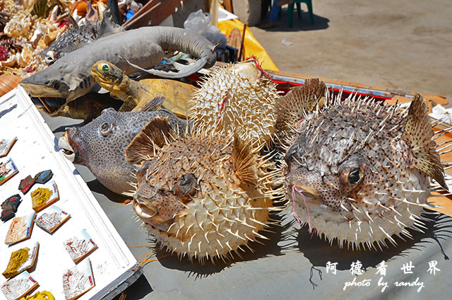 alexandria2D7000 034.JPG alexandria2D7000 034.JPG