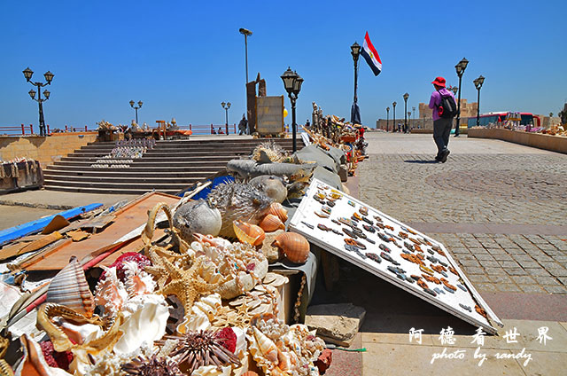 alexandria2D7000 033.JPG alexandria2D7000 033.JPG