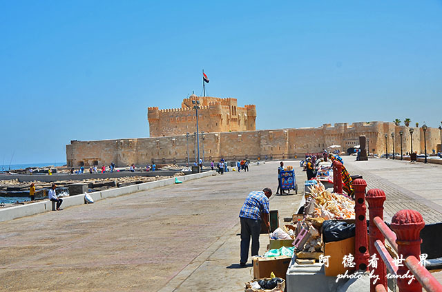 alexandria2D7000 037.JPG alexandria2D7000 037.JPG