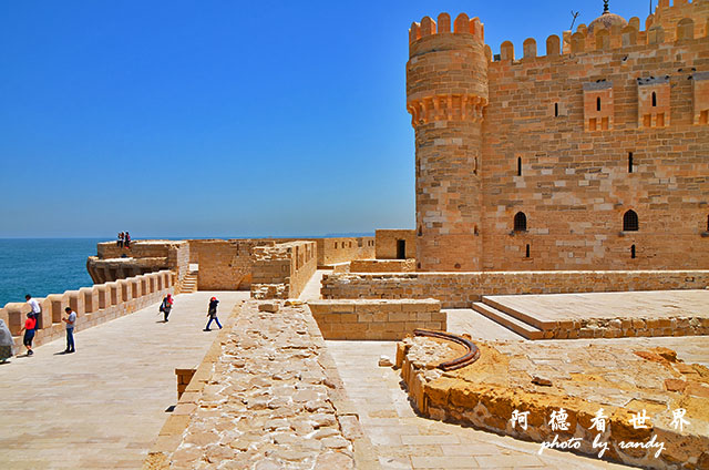 alexandria2D7000 066.JPG alexandria2D7000 066.JPG