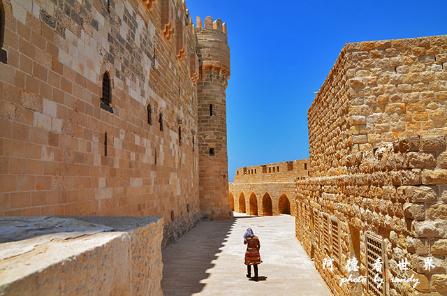 alexandria2D7000 080.JPG alexandria2D7000 080.JPG