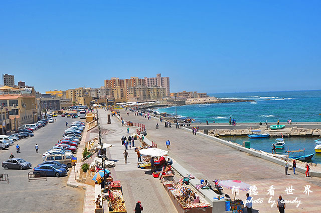 alexandria2D7000 095.JPG