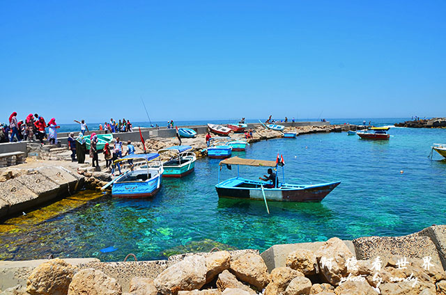 alexandria2D7000 126.JPG alexandria2D7000 126.JPG