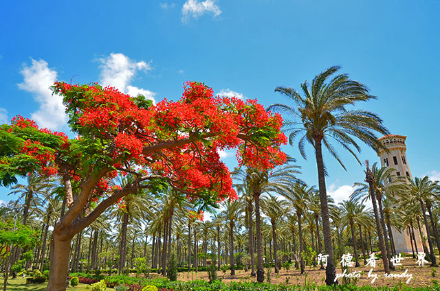 alexandria3D7000 025.JPG alexandria3D7000 025.JPG