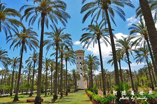 alexandria3D7000 028.JPG alexandria3D7000 028.JPG