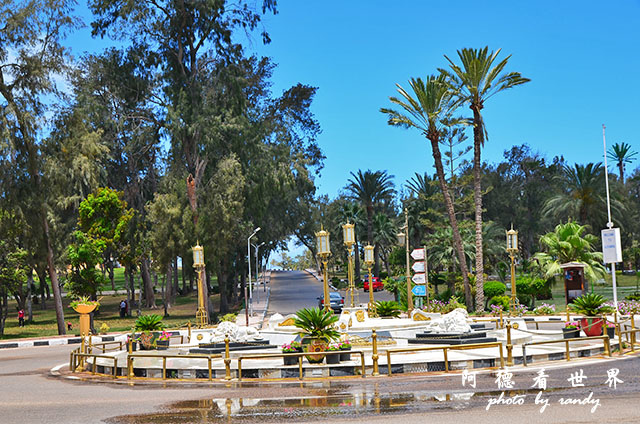 alexandria3D7000 029.JPG alexandria3D7000 029.JPG