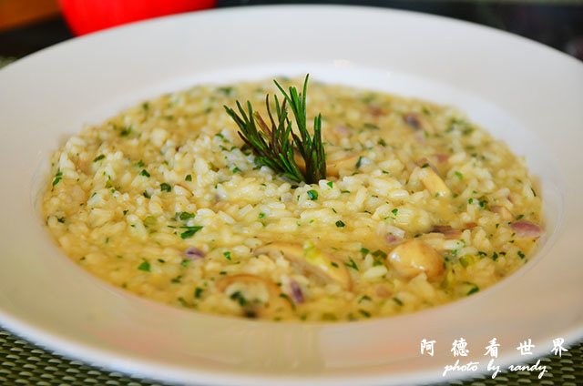 alexandria3D7000 081.JPG alexandria3D7000 081.JPG