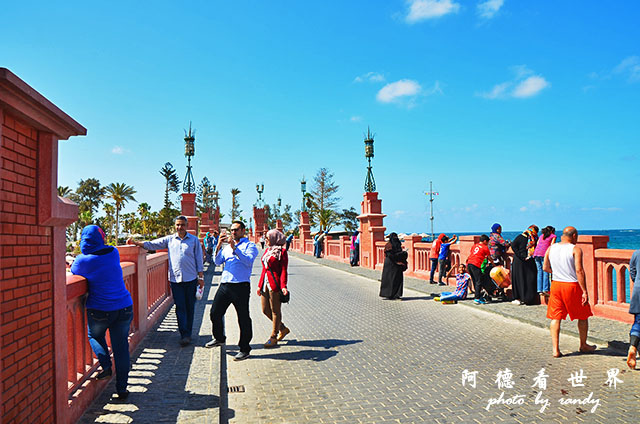 alexandria3D7000 121.JPG alexandria3D7000 121.JPG