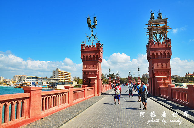 alexandria3D7000 135.JPG alexandria3D7000 135.JPG