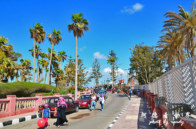 alexandria3D7000 163.JPG