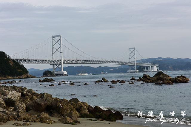 鳴門-德島D810 005.JPG